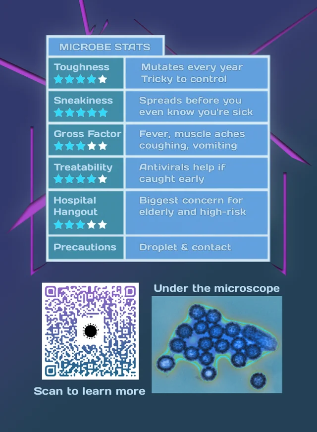 Influenza trading card, back with educational facts