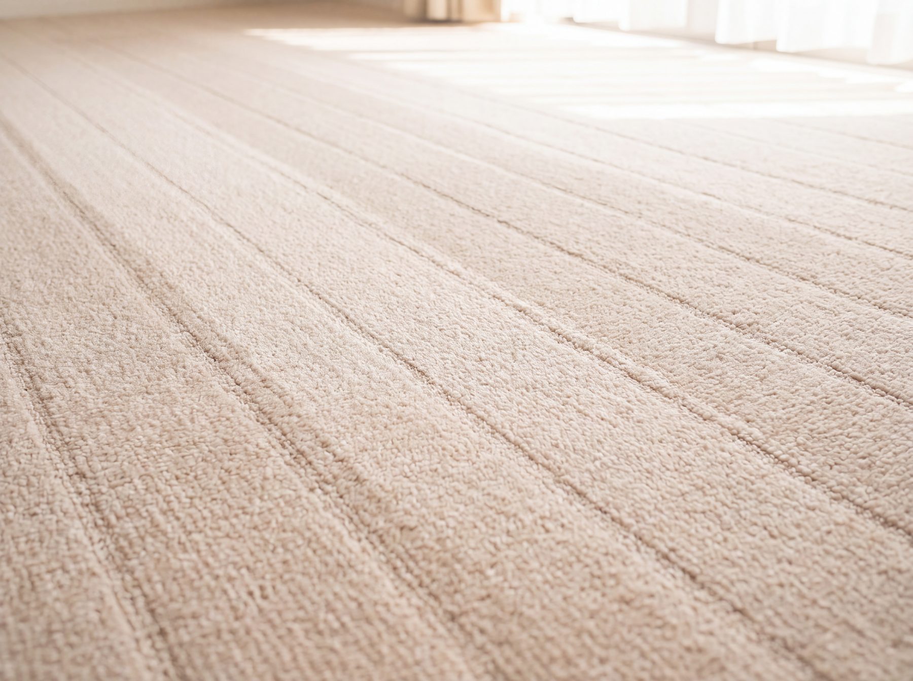 Vacuum stripes across a pale carpet catching low window light