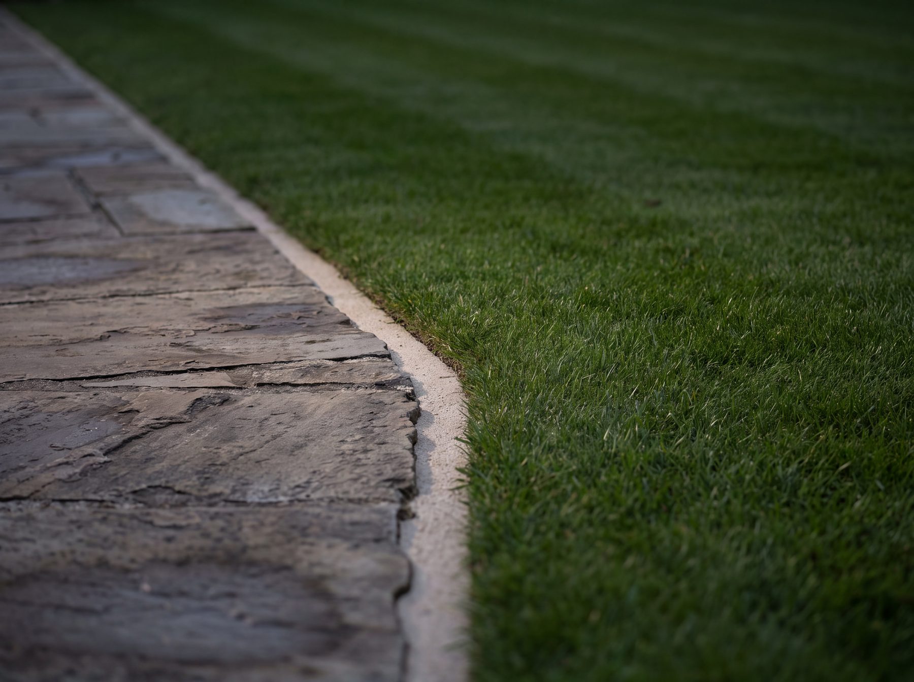 A flagstone edge meeting fresh lawn, sand joint visible, low evening light
